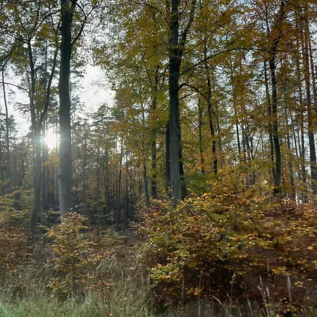 Frau Becker * Flecken Zechlin