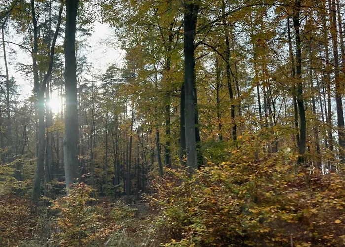 Frau Becker * Flecken Zechlin